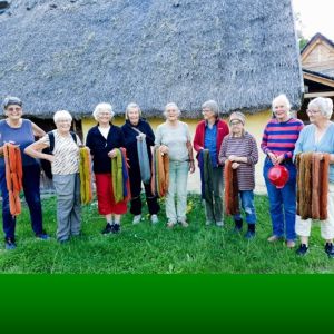 Gotlands Vävare Färgargänget 300x300