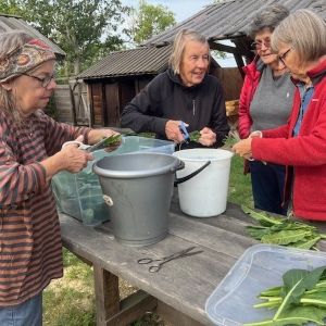Gotlands vävare vejdeklippning 300x300