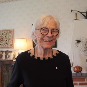 Damastväverskan själv 300