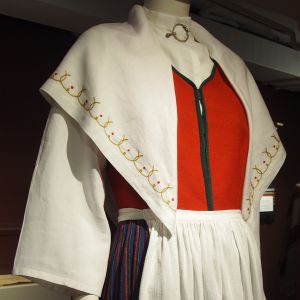 1956 års dräkt 300